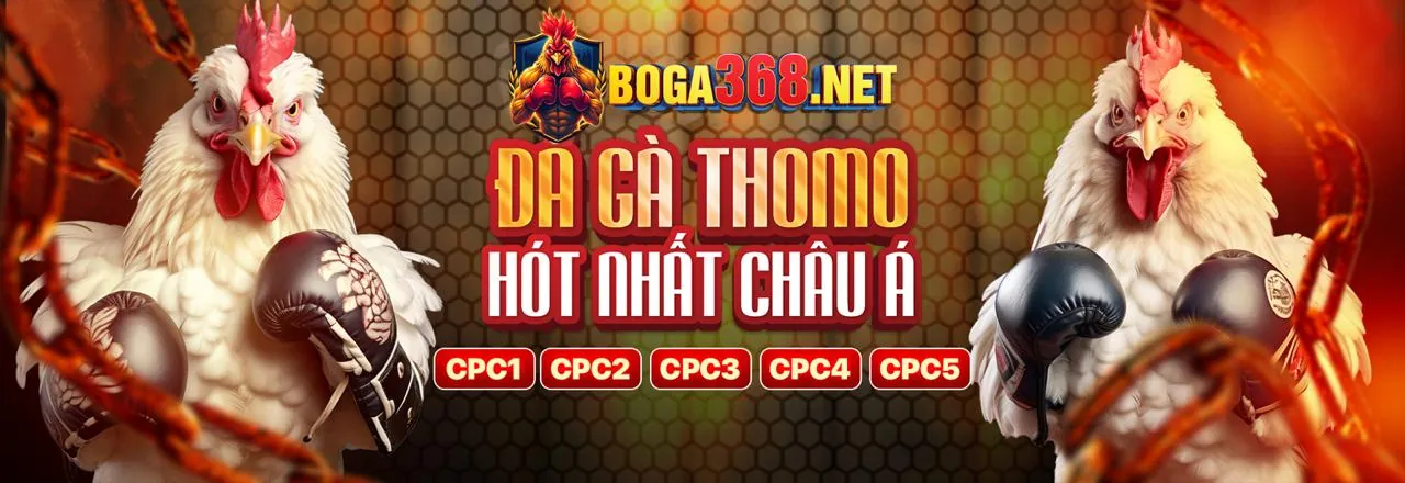Đá gà trực tuyến kịch tính tại LT88 Nổ Hũ